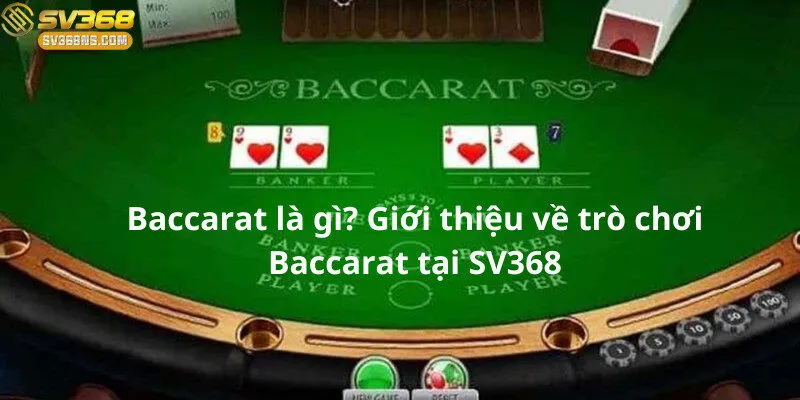Một bàn baccarat trực tuyến tại SV368, nơi những ván bài diễn ra nhanh chóng và thú vị.