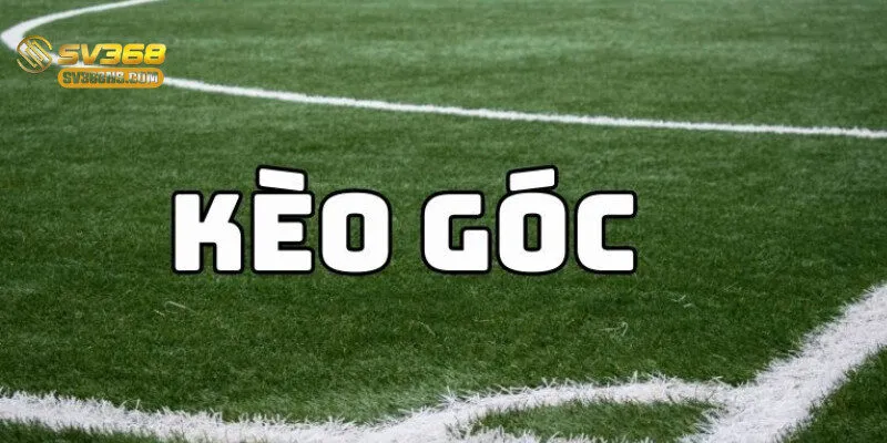 Người chơi phân tích kèo phạt góc trên giao diện